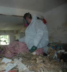 Nettoyage de maison et de logement insalubre